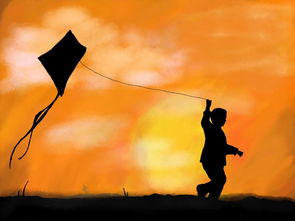 《追风筝的人》知乎，追风筝的人：阿富汗的荣光与救赎